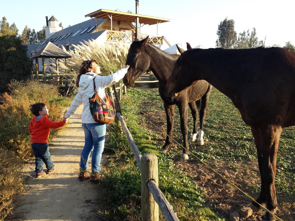 Hotel Boutique La Caballeriza Limache Kültér fotó